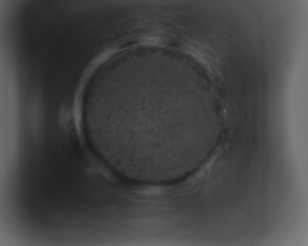 X0000101430149200807071349