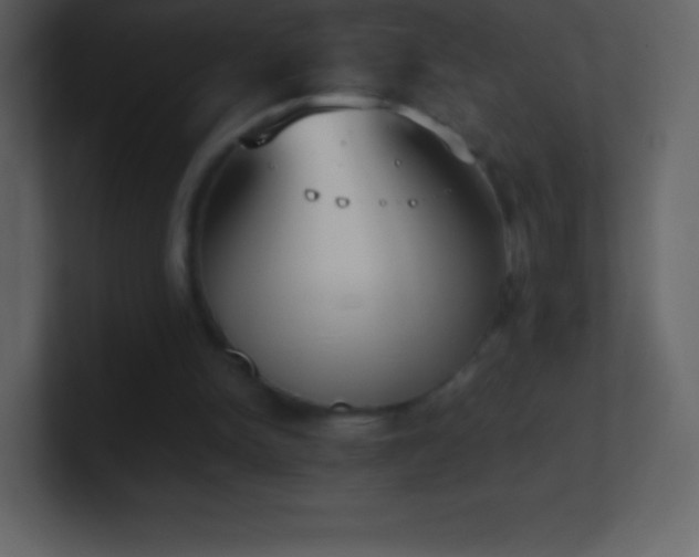 X0000101430150200807071349