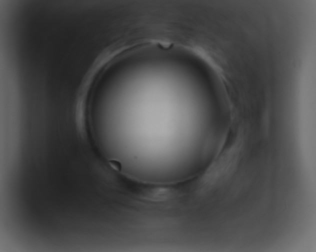 X0000101430151200807071349