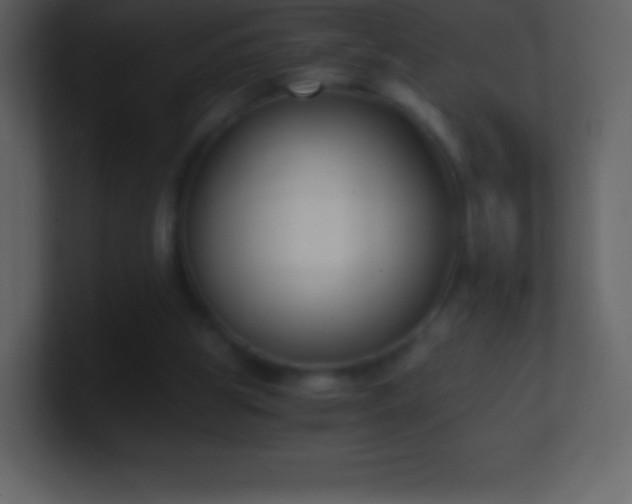 X0000101430153200807071349