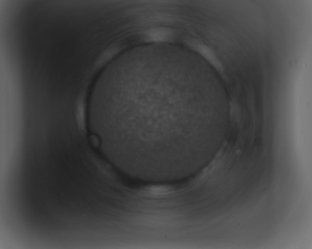 X0000101430154200807071349