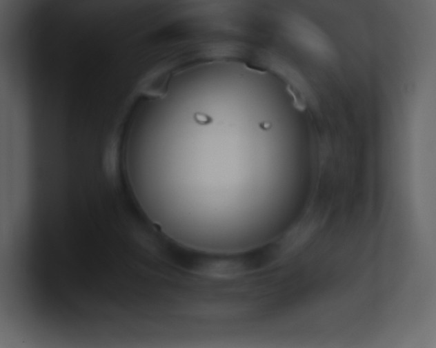 X0000101430155200807071349