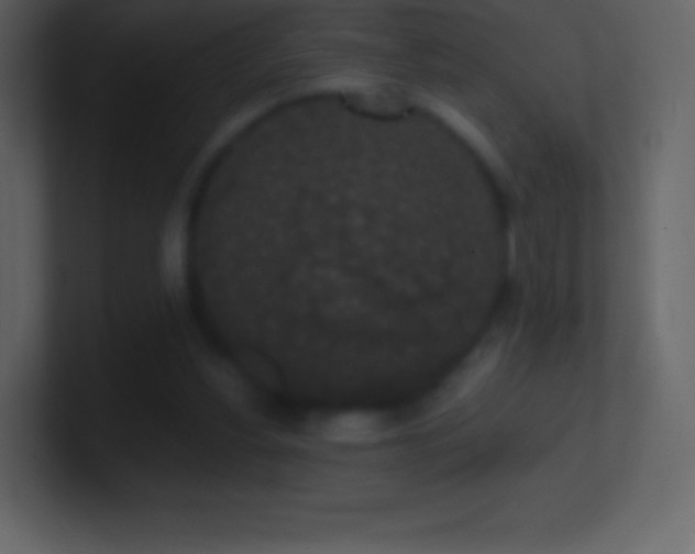X0000101430156200807071349