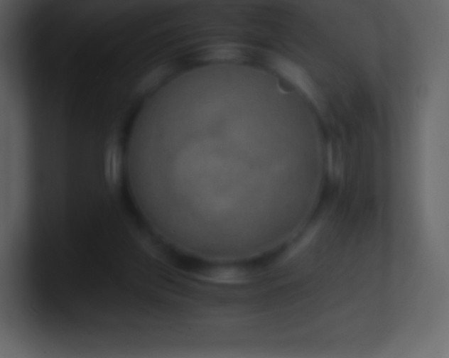 X0000101430157200807071349