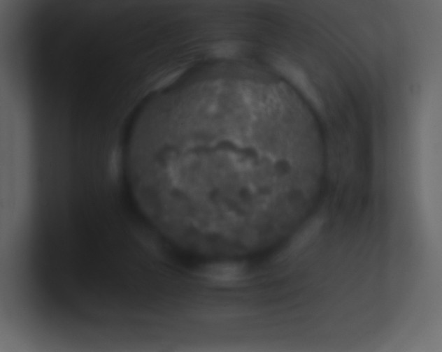 X0000101430161200807071349