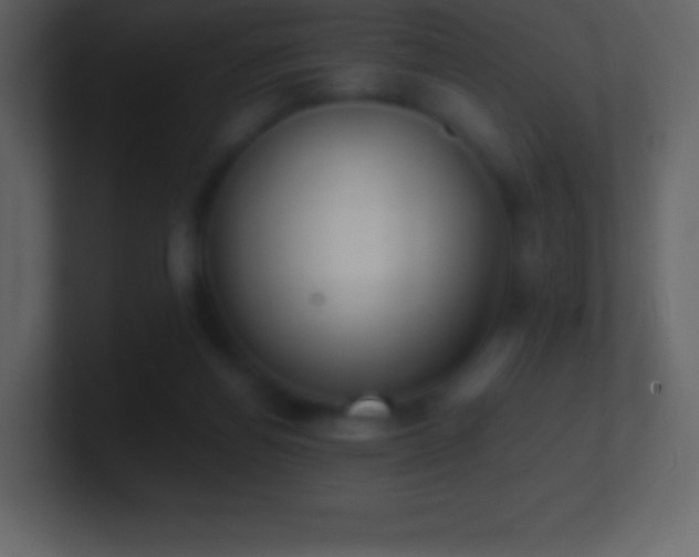 X0000101430164200807071349