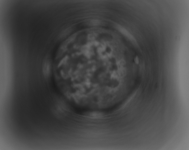 X0000101430165200807071349