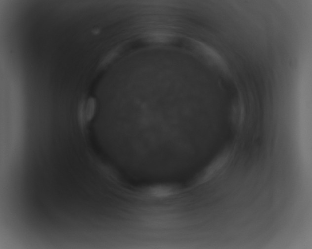 X0000101430168200807071349