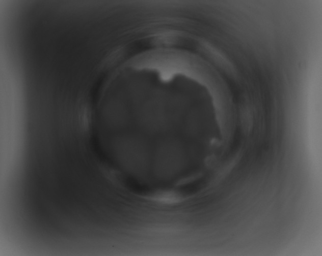 X0000101430169200807071349