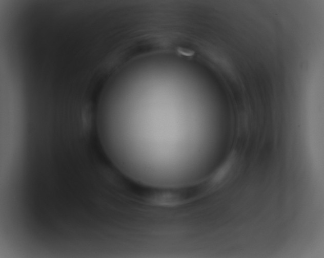 X0000101430174200807071349