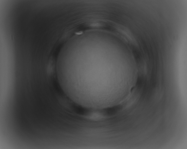 X0000101430175200807071349