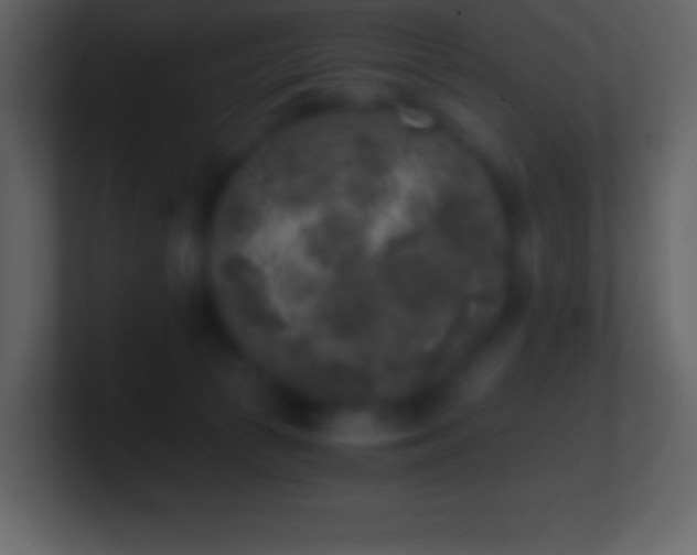 X0000101430177200807071349