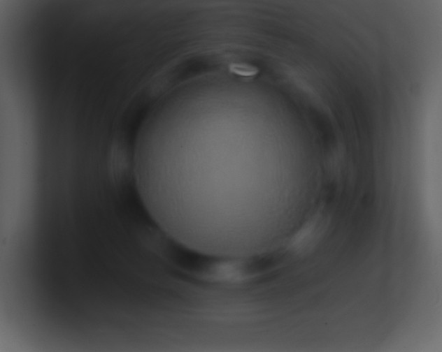 X0000101430178200807071349