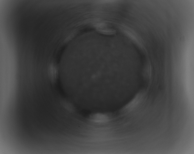 X0000101430180200807071349