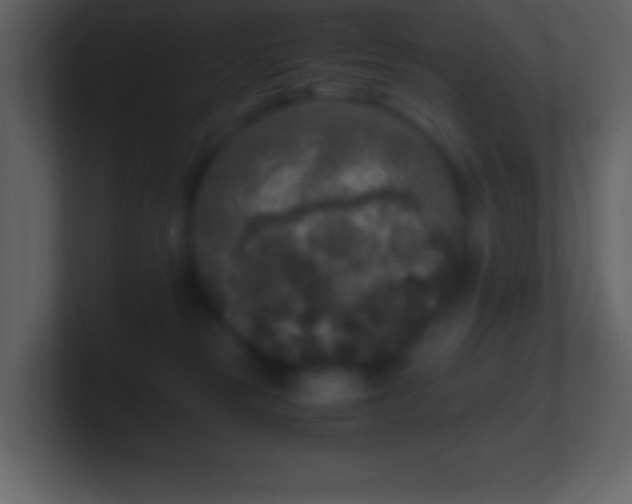 X0000101430181200807071349