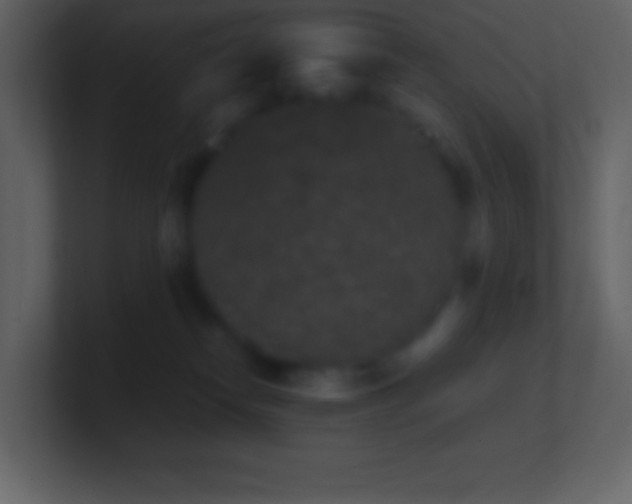 X0000101430182200807071349