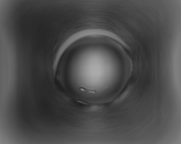 X0000101430184200807071349