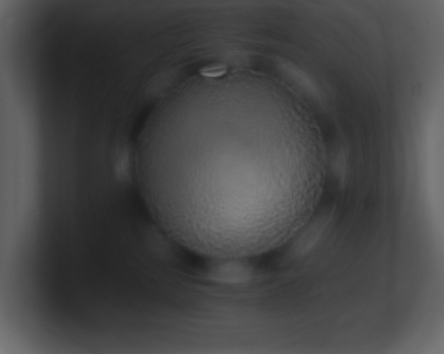 X0000101430185200807071349