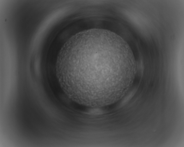 X0000101430189200807071349