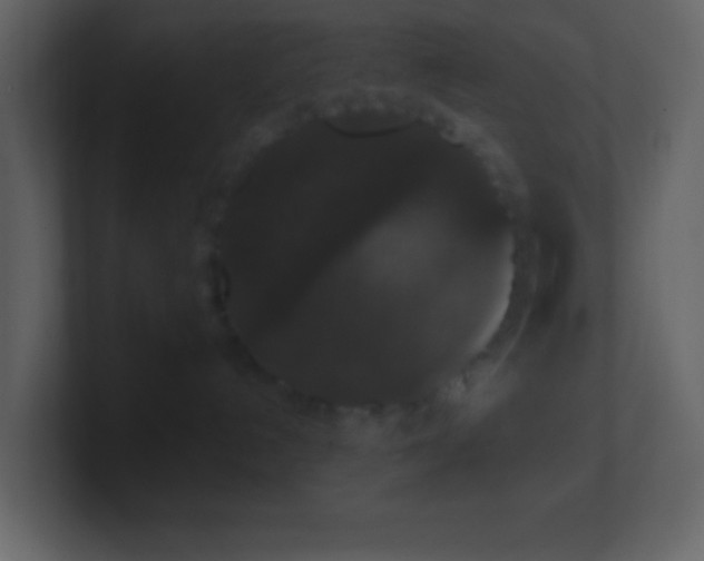 X0000101430192200807071349