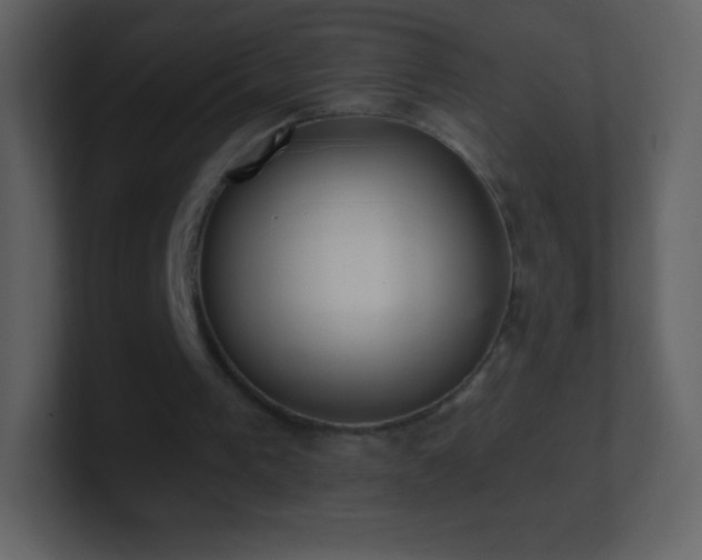 X0000101430193200807071349