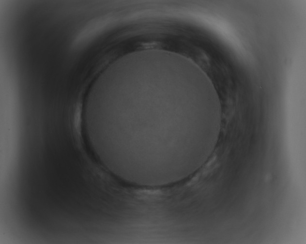 X0000101430194200807071349