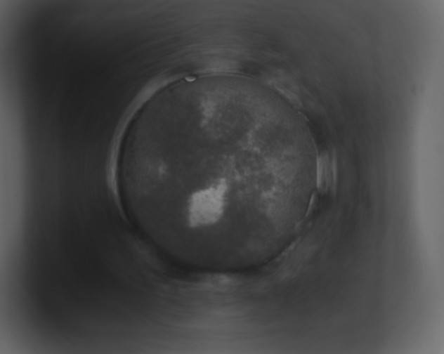 X0000101430195200807071349