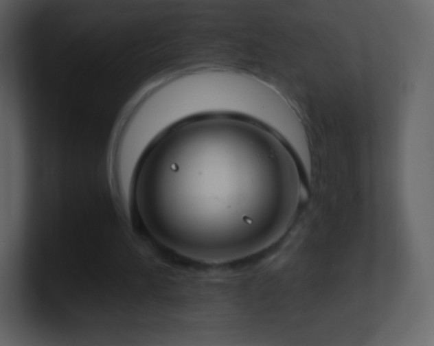 X0000101430196200807071349