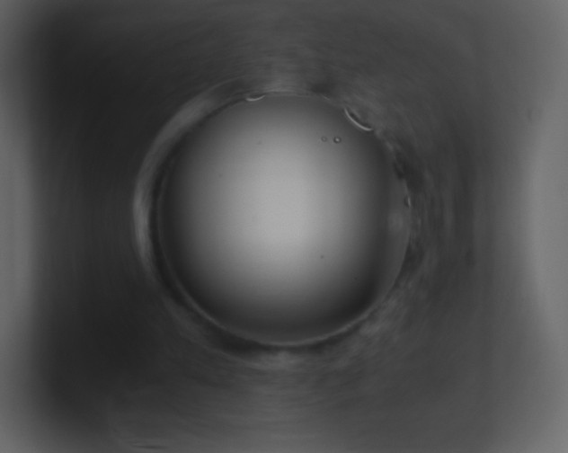 X0000101430197200807071349