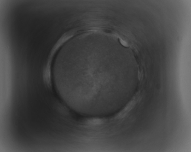 X0000101430198200807071349