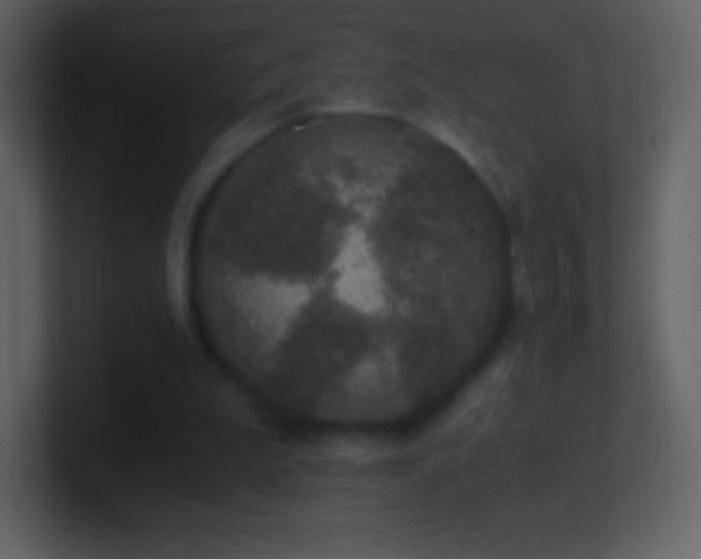X0000101430199200807071349