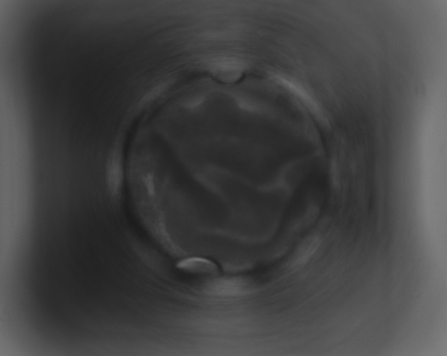 X0000101430202200807071348