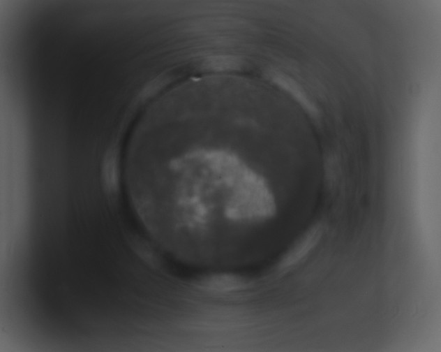 X0000101430203200807071348