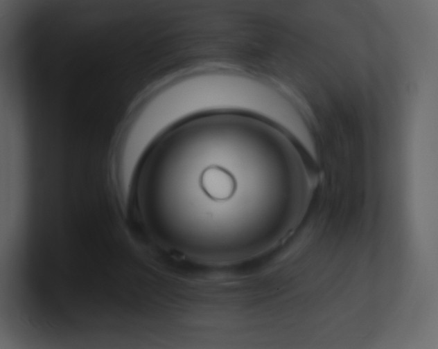 X0000101430204200807071348