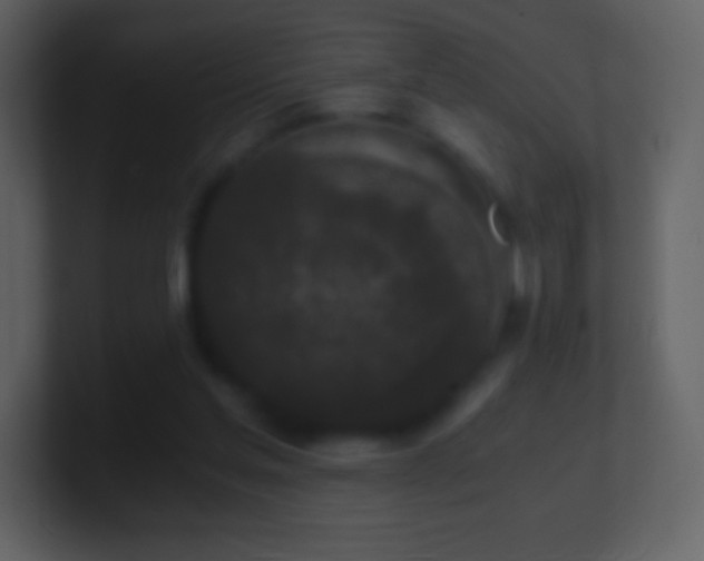 X0000101430205200807071348