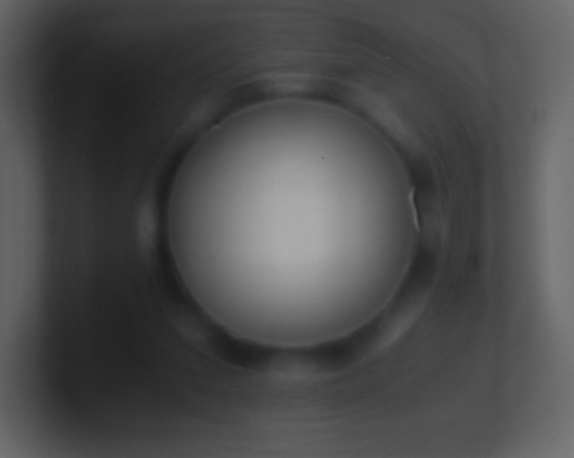 X0000101430207200807071348