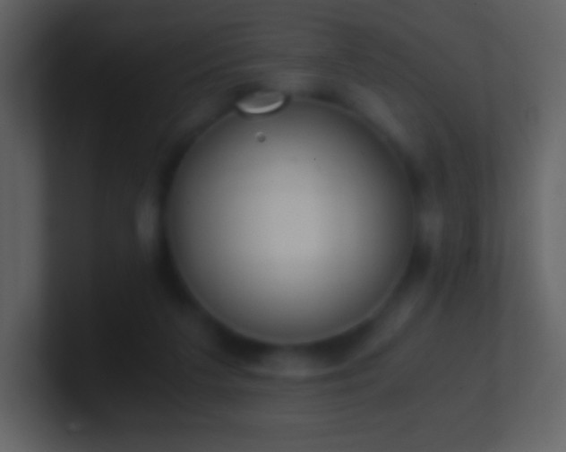 X0000101430211200807071348