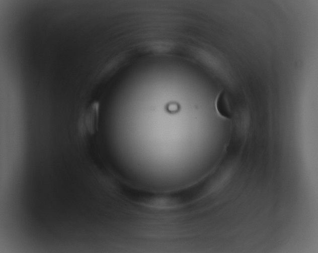 X0000101430212200807071348
