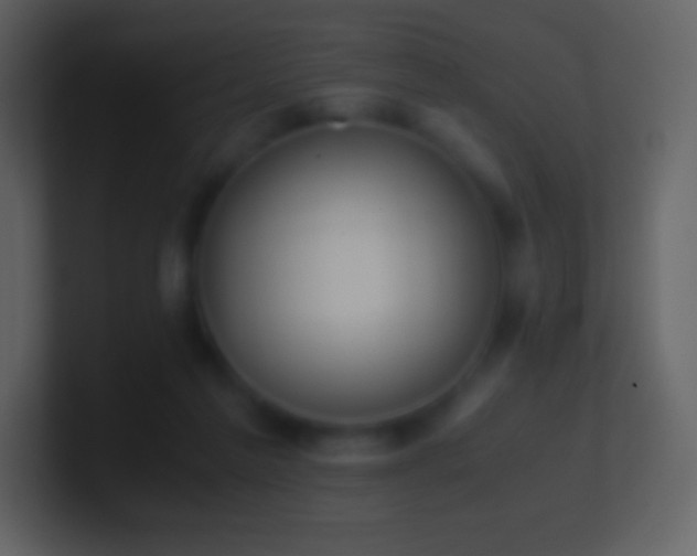 X0000101430213200807071348