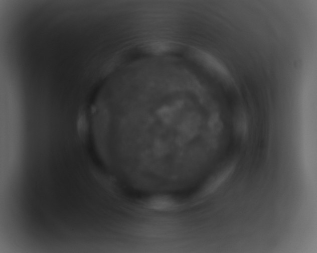X0000101430214200807071348