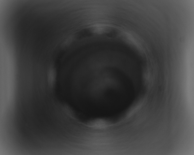 X0000101430219200807071348