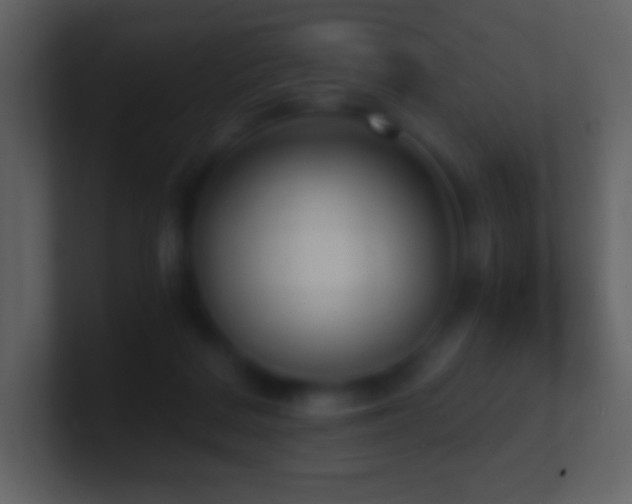 X0000101430220200807071348