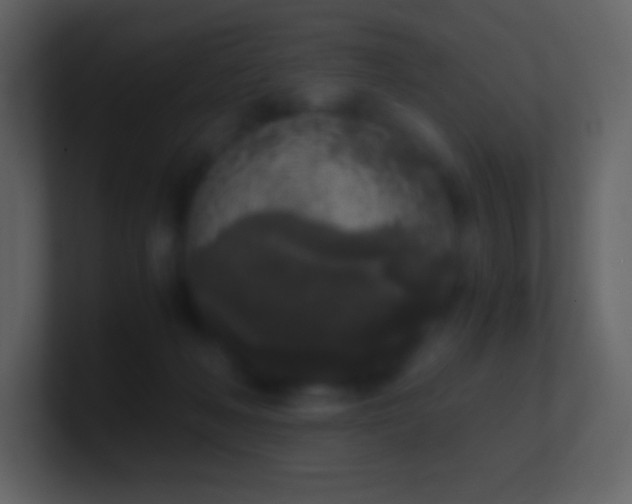 X0000101430222200807071348