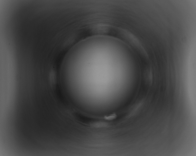 X0000101430224200807071348