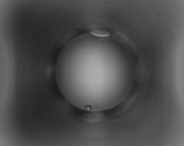 X0000101430225200807071348