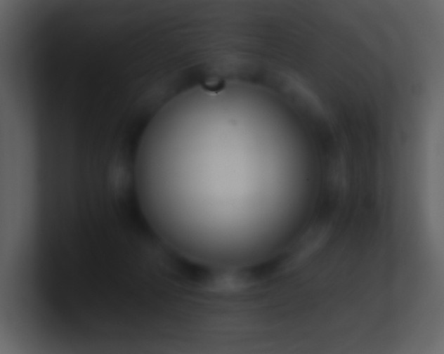 X0000101430226200807071348