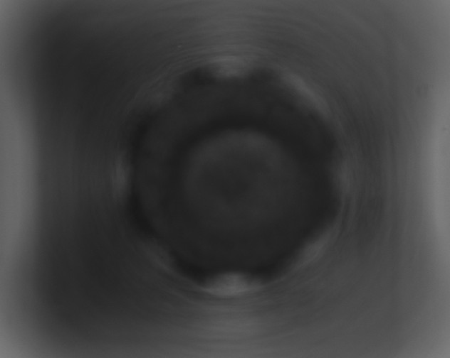 X0000101430227200807071348