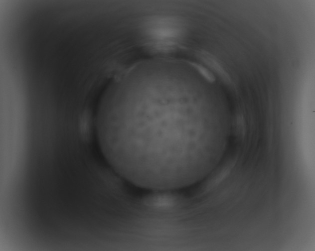 X0000101430228200807071348