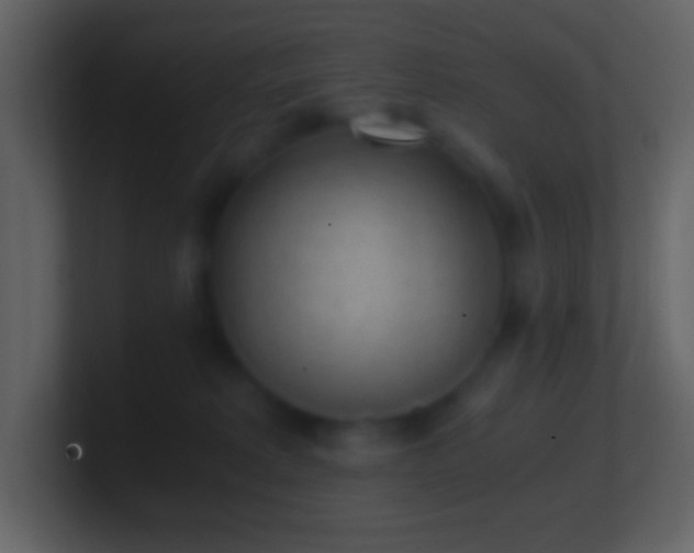 X0000101430229200807071348