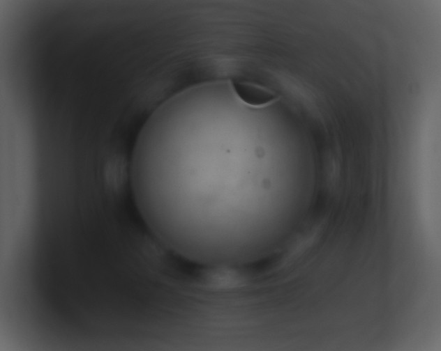 X0000101430230200807071348